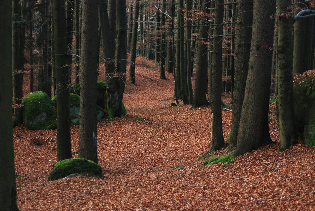 Gasthof Und Pension Haunschmid Rechberg Zewnętrze zdjęcie