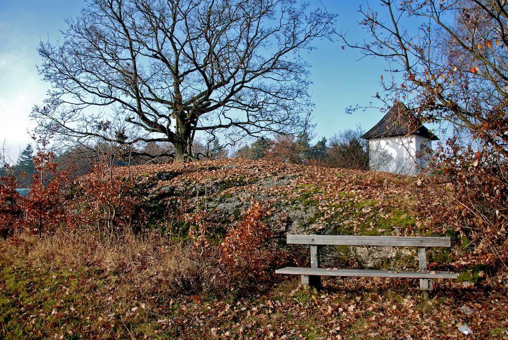 Gasthof Und Pension Haunschmid Rechberg Zewnętrze zdjęcie